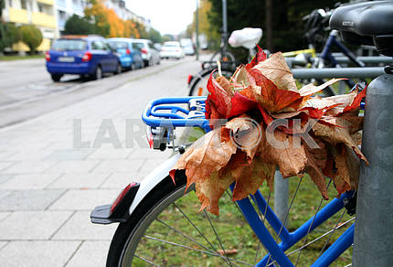 Autumn leaves on the trunk of a bicycle