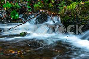 Autumn landscape
