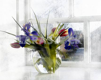 Bouquet in a round transparent glass vase of blue irises and red tulips on a background misted window