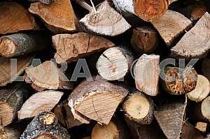 Wood texture with natural pattern
