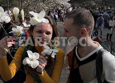 People are photographed in magnolias