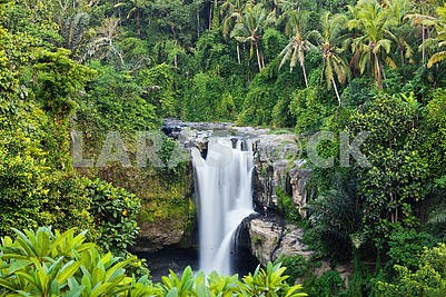 Big waterfall in exotic tropical forest