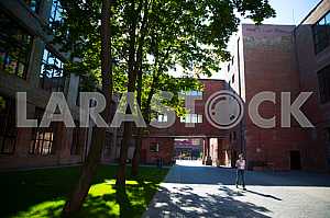 Preparation of modern art festival GogolFest
