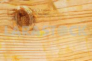 Wood texture with natural pattern
