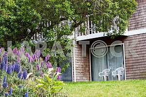 House on nature of the California
