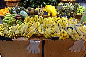 Tropical fruit