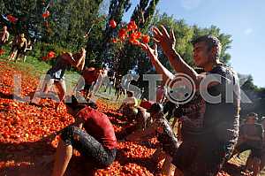 Festival Tomatina 2016 in Kiev