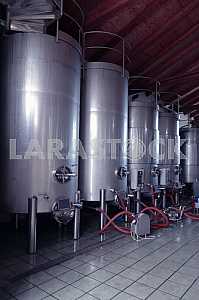 Stainless steel wine vats in a row