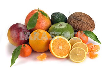 set of citrus  fruits