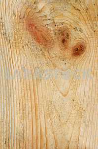 Wood texture with natural pattern