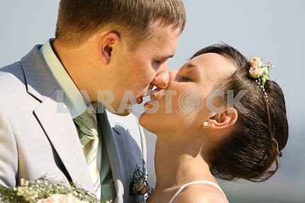 Жених и невеста , поцелуи