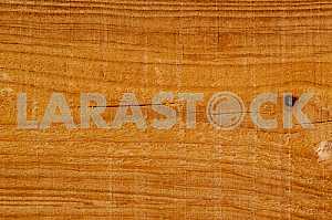 Wood texture with natural pattern