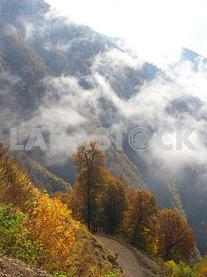 Autumn landscape in Kakheti
