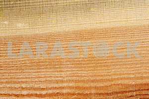 Wood texture with natural pattern