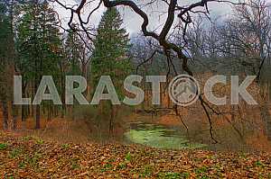 Осень, Дендропарк