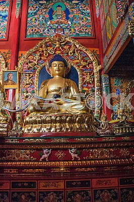 The Buddha statue of the Hall of ritual ceremonies of the nine-s
