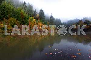 Autumn landscape