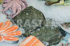 Flounder lie on the counter next to the octopus.
