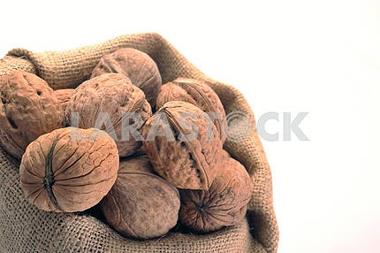Walnuts in the tissue sac