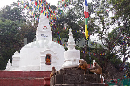 Temple complex (monkey hill). Nepal
