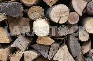 Wood texture with natural pattern
