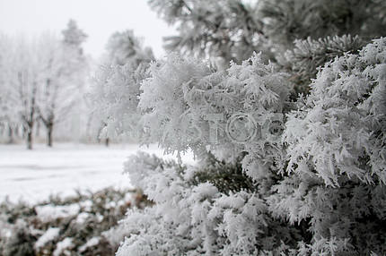 Winter landscape in Mariupol