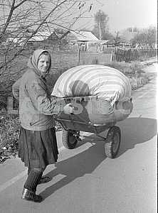 The woman returns to her house