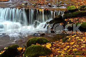 Autumn landscape