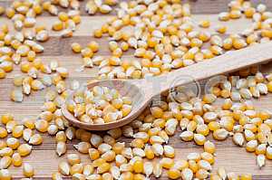 Maize