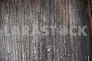 Wood texture with natural pattern
