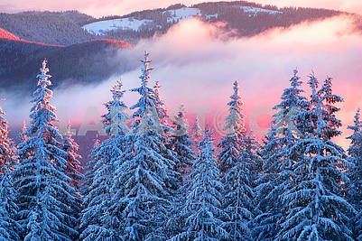 Frosty sunrise in Carpathians