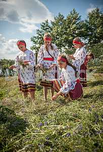 Девушки на празднике Ивана Купала