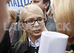 Rally of Batkivshchyna to support of Nadezhda Savchenko in Kiev