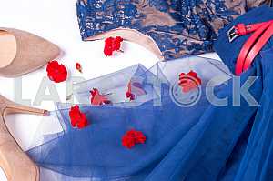 Woman clothes and accessories. Soft blue colors female apparel.
