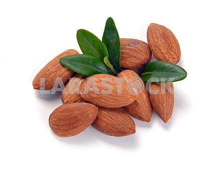 Group of almond nuts with leaves