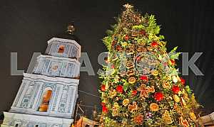 The New Year Tree lit at the Sophia Square