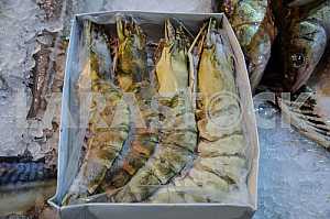 Huge prawns in packaging.