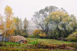 Autumn. Rick in the field