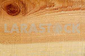 Wood texture with natural pattern