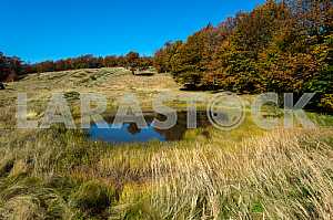 Autumn landscape