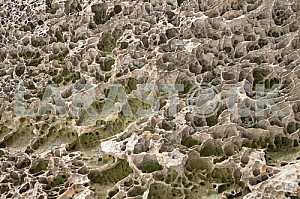 The texture of the stone