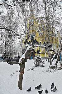 Rivne
