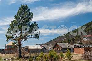 Image #19723