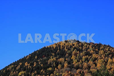 Autumn fall hillside and blue sky