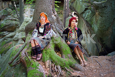 Gutsulka in the Carpathian forest