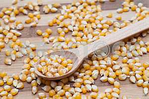 Maize