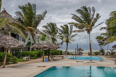 Pool and palm trees in Zanzibar
