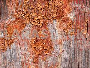 Brown leather texture background