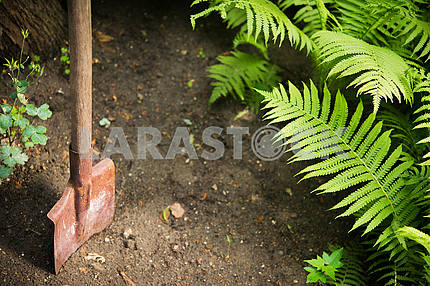 An old shovel in the ground in the garden