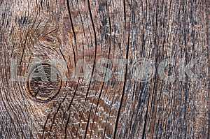 Wood texture with natural pattern